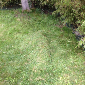 Jean Baptiste SEGUY 5F