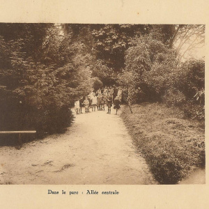 allée centrale du parc